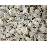 Bird Nest Export Standard Price For Sale High Quality With Best Price For You